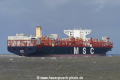 MSC Ingy (KK-230417-2).jpg