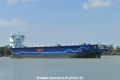 Celtic (OK-240721-0).jpg