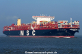 MSC Eloane SH-130217-01.jpg