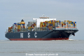 MSC London HK-190316.jpg