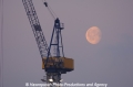Mond+Hafenkran 170406-01.jpg