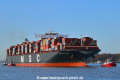 MSC New York JP-081119-01.jpg