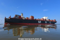 MSC New York 240519-06.jpg