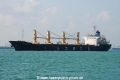 Blue Star OS-280214-05.jpg