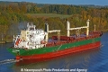 Bluewing (OK-061112-12).jpg