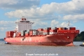 Cap Harvey (KB-D260814-02).jpg