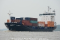 Conger 050712-01.jpg