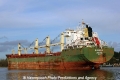 Bluebill RA-071113-02.jpg