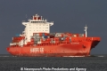 Cap Harrisson SH-261212-01.jpg