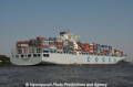 Cosco Europe 200809-07.jpg