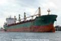 Bluebill (OK-071113-0).jpg