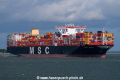 MSC Reef SH-030817-02.jpg