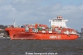 Cap Harriett TL-010415-3.jpg