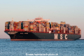 MSC Maya SH-251116-02.jpg