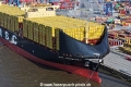 MSC Germany Bug 14625.jpg