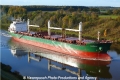 Bluewing (OK-061112-09).jpg
