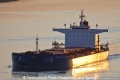 Nord Delphinus TJ-160810-00.jpg