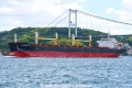 Blue Fin (OK-110923-0).jpg