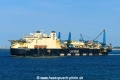 Castorone (MB-110826-2).jpg