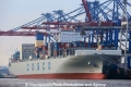 Cosco Excellence 130412.jpg