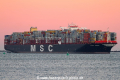 MSC Maya SH-251116-01.jpg