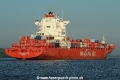 Cap Hamilton TL-200515-2.jpg