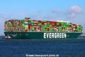 Ever Golden TL-150423-4.jpg