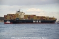 MSC Florida (KB-D210306-12).jpg