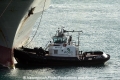 Mikioi 301113.jpg
