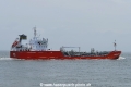 Cavalli (OK-300621-3).jpg