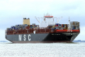 MSC Sveva (KK-091016-1).jpg