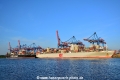 NYK Ibis + OOCL Egypt (KB-D120716-01).jpg