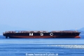 MSC Venice VT-141015.jpg