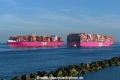 ONE-Megaboxer-Treffen (MB-251024).jpg