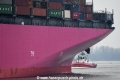 ONE+Kotug 19319.jpg