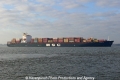MSC Matilde (US-220310-1).jpg