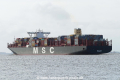 MSC Tina (KK-050417-3).jpg