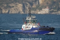 Palaemon (US-131019-1).jpg