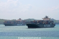 NYK Daedalus + NYK Constellation OS-260113-01.jpg