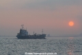 Pegasus (SW-080207-01).jpg