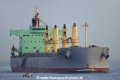 Bonita TJ-100512-11.jpg