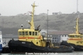 Odin (WP-220212-1).jpg