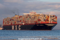 MSC Sveva SH-221016-02.jpg