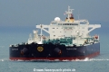 Mare Picenum HK-270812-2.jpg