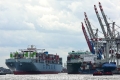 Cosco Portugal 180814-29.jpg