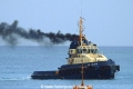 Pelican 281115-01.jpg