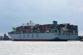 Cosco Portugal 180814-13.jpg