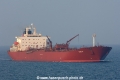 Marlin 260406-02.jpg