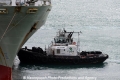 Piilani 301113.jpg