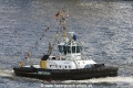 Peter 080515-01.jpg